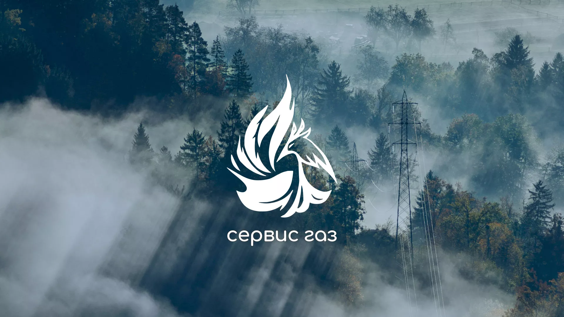 Создание сайта компании «Сервис газ» в Котельниках