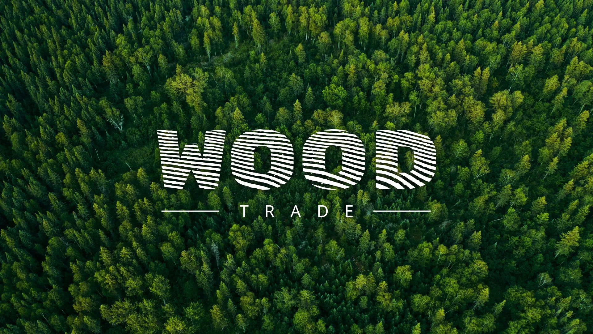 Разработка интернет-магазина компании «Wood Trade» в Котельниках